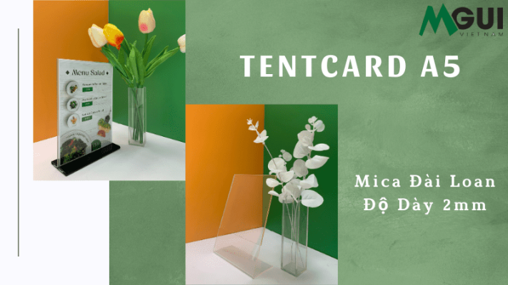 tentcard a5