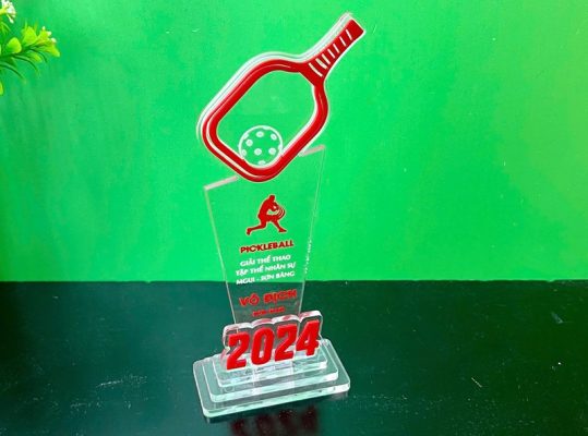 Mau ky niem chuong mon the thao pickleball Mẫu kỹ niệm chương môn thể thao pickleball