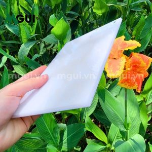 tam mica trang 8