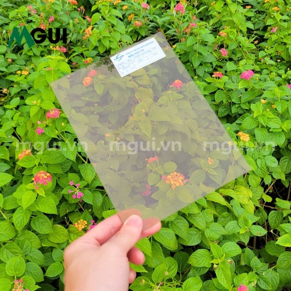Tấm mica xuyên sáng 2mm Đài Loan