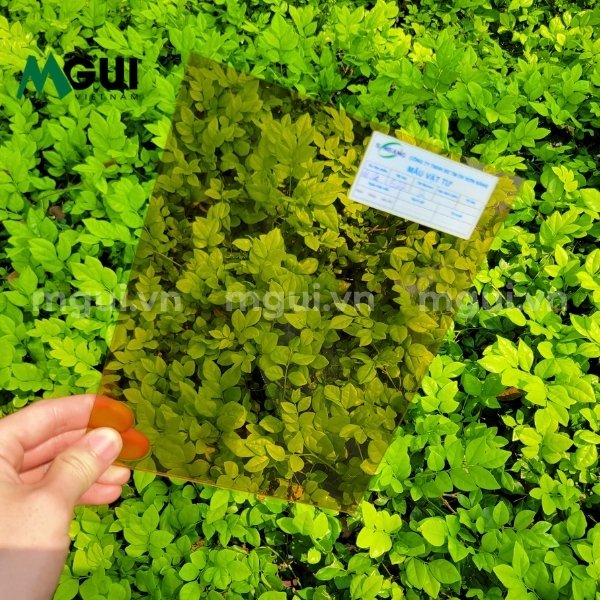 Tấm mica acrylic xuyên sáng