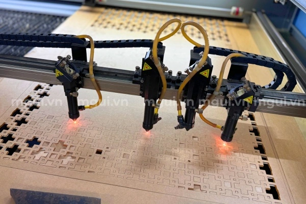 cat laser mica